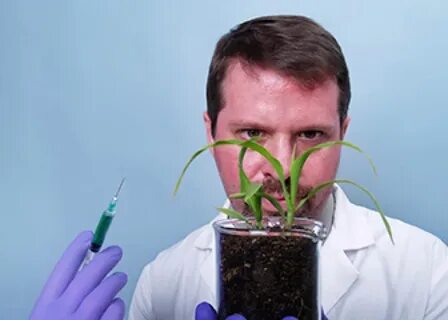 Plant scientist