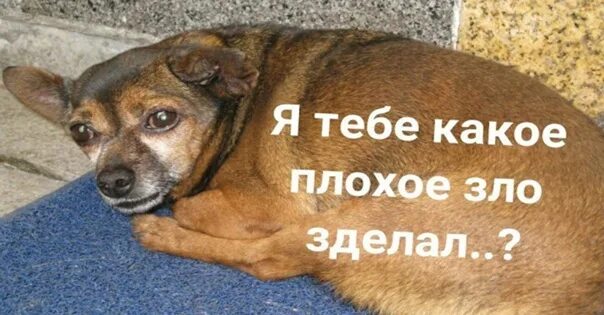 Зло на зло. Худшее из зол 4. Худшее из зол 4. Какое плохое зло я тебе сделал мем. Сом мемы.