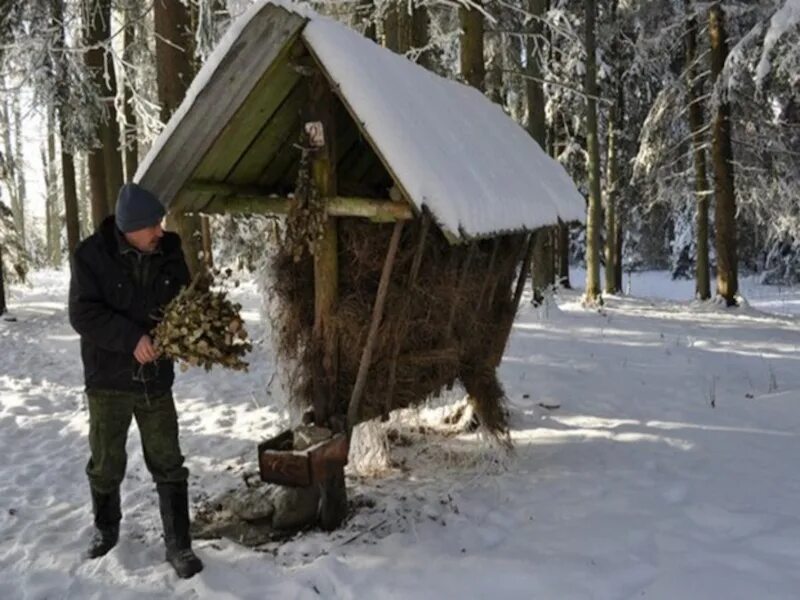 Столовая для лосей 8. Кормушки для диких животных зимой. Кормушка для лосей. Зимняя подкормка диких животных. Кормушка для лося зимой.