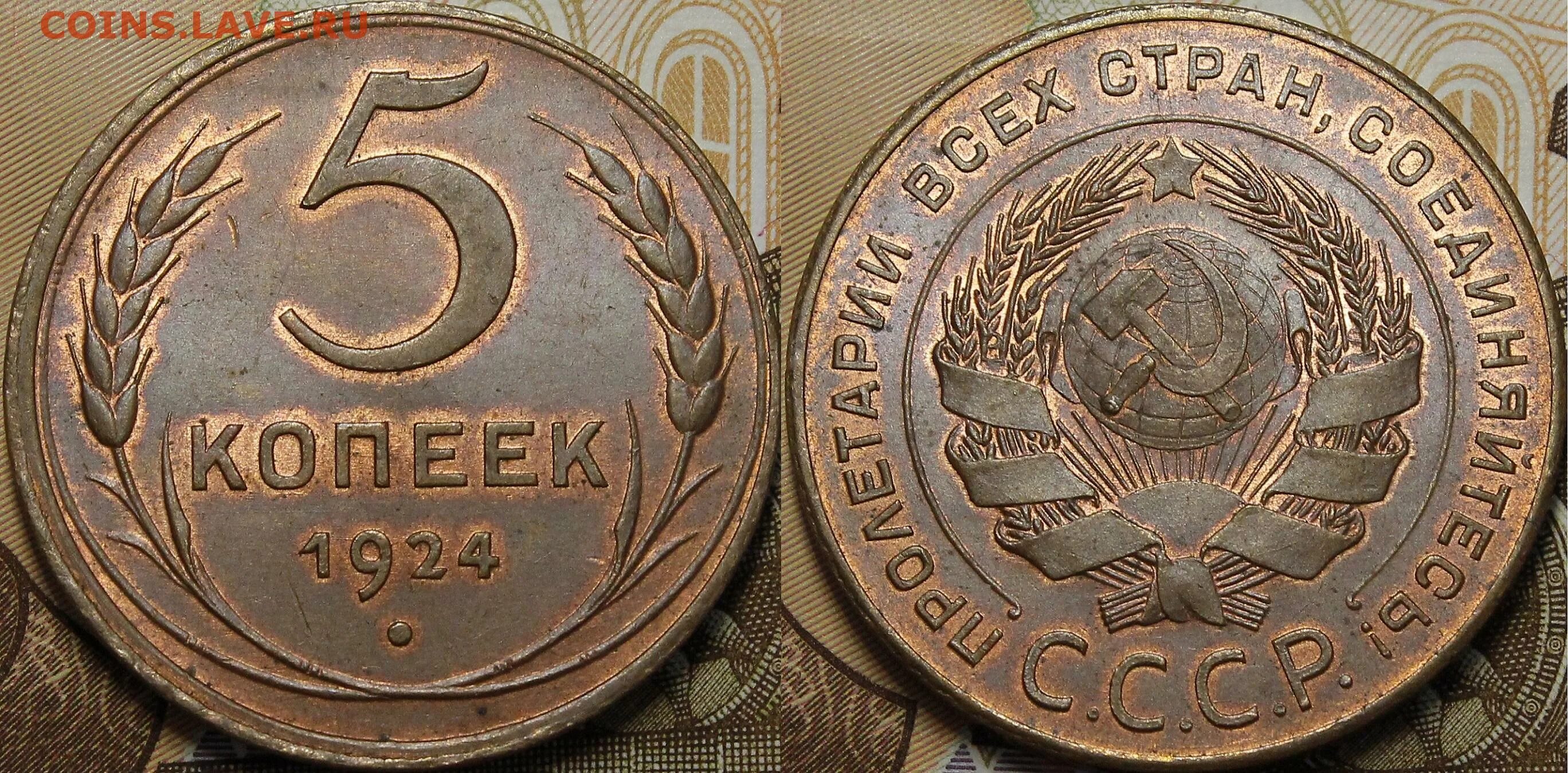Стоит 5 копеек 1924 года. Монета 5 копеек 1924 года. 5 копеек 1924. Стоит 5 копеек 1924 года. Медные 5 копеек 1924.