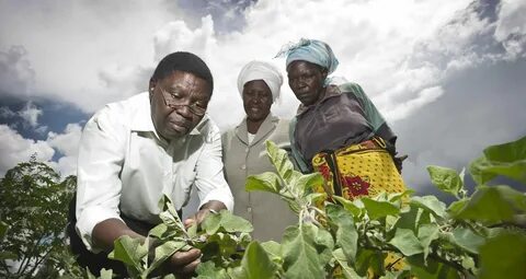 Most of africa s rural people