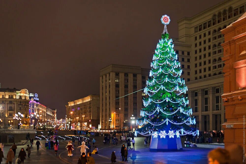 Новогодняя елка. Городская Новогодняя елка. Елка в Москве. Елка на площади. Новогодняя елка площадь