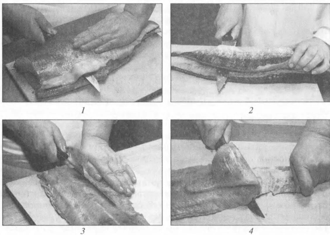 Пластование осетровых на звенья. Схема обработки рыб осетровых пород. Способы разделки рыбы на филе. Обработка рыбы операции