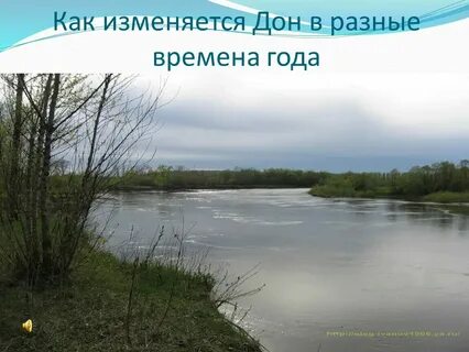 Как река лена изменяется времена года