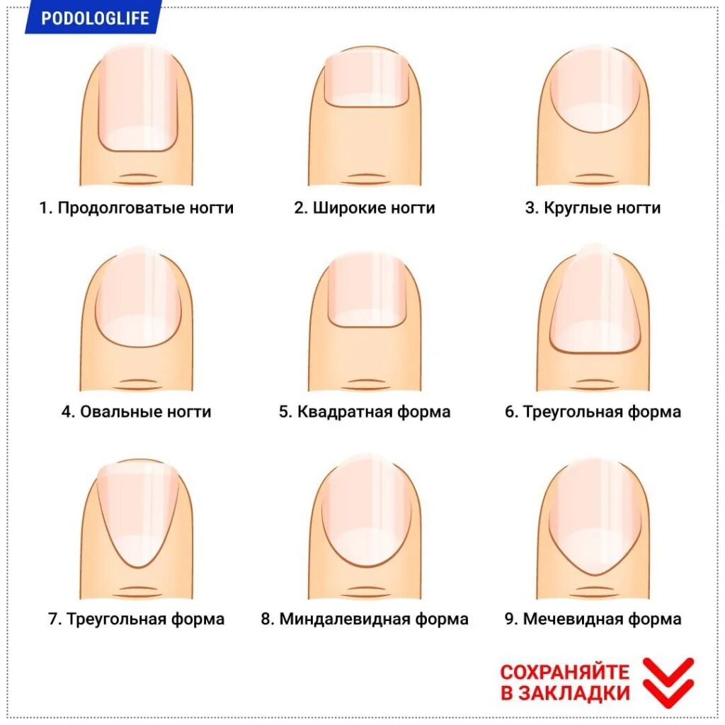 Какая форма ногтей подходит пальцам. Формы ногтей. Форма ногтей для маникюра. Название всех форм ногтей. Кругло квадратная форма ногтей.