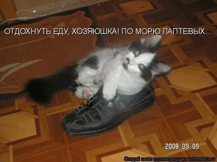 Не туда пишите