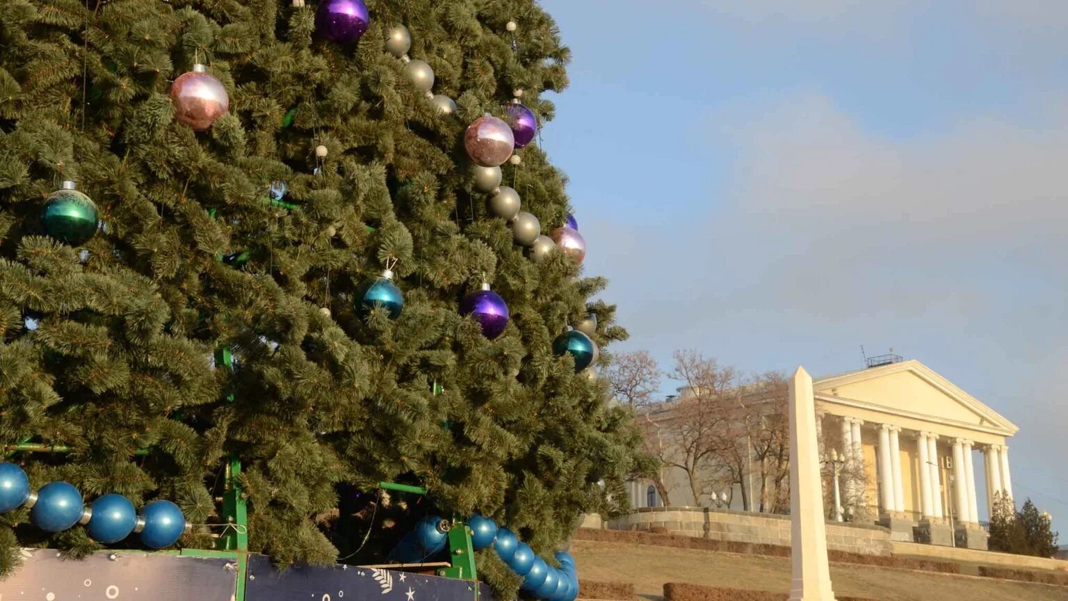 Главная елка волгограда 2022. Новогодняя ночь в городе. Волгоград елка новогодняя для детей 2024. Елки на елецкой волгоград. Открытие елки на цпкио волгоград.