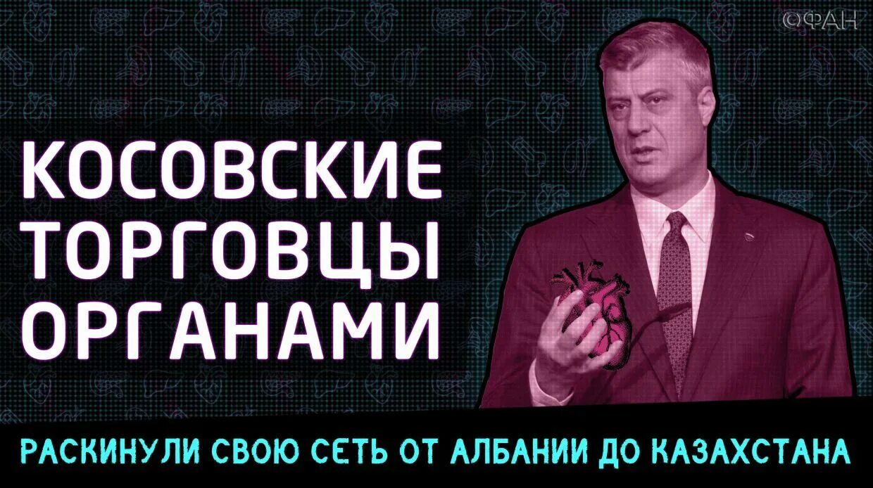 Торговцы органами. Торговцы органами