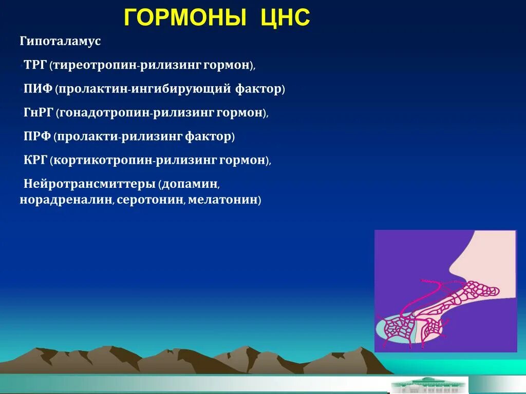 Гормоны ЦНС. Периферические и центральные гормоны. Нейротрансмиттеры, рилизинг фактор. Кортикотропин рилизинг фактор. Гормон центральной нервной системы