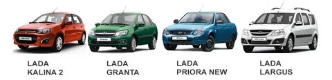 Отличие калина гранта