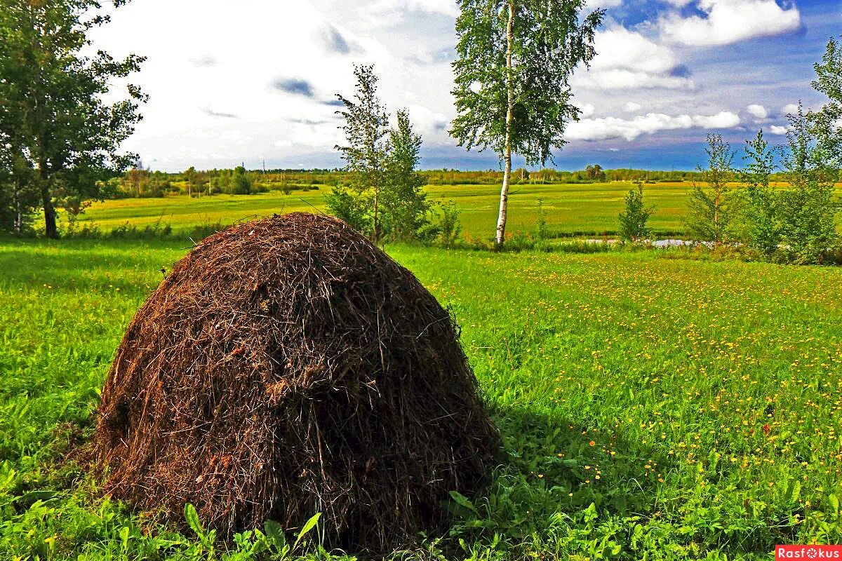 плакорные участки. овражно-балочный рельеф белгородской области. хризолит камень описание. бажова «серебряное копытце». покосный лужок.