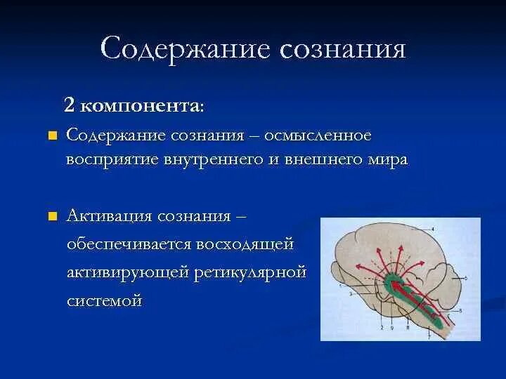 Поражение ствола головного. Синдромы поражения ствола мозга. Синдром поражения мозгового ствола. Поражение ствола головного мозга альтернирующие синдромы. Поражение ствола мозга симптомы.