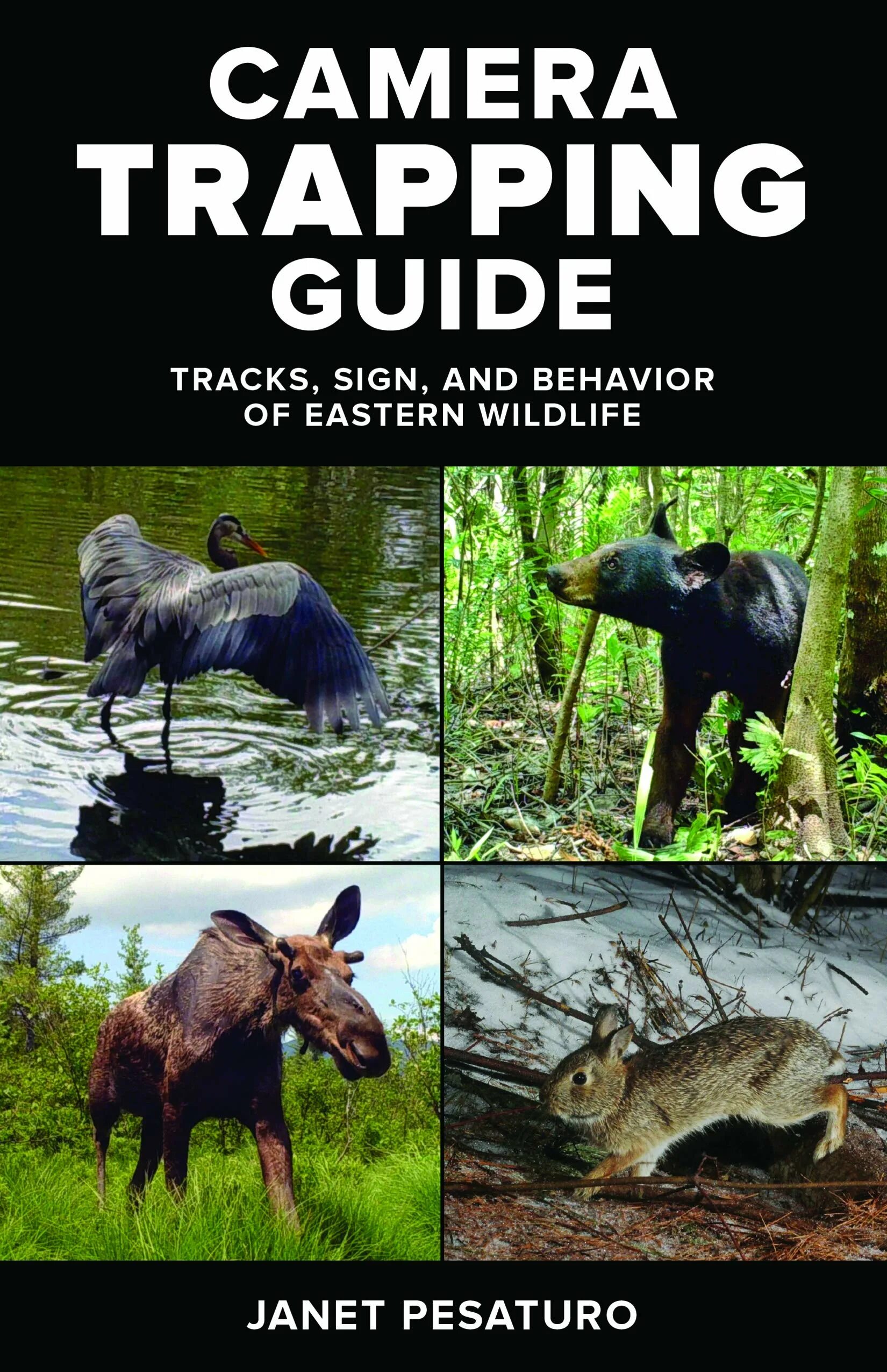 Trap guide. Trap guide