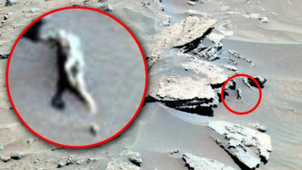 Фотографии какое доказательство. Снимки Марса Скотт Уоринг. Доказательства существования пришельцев. Инопланетяне существуют. Инопланетяне доказательства.