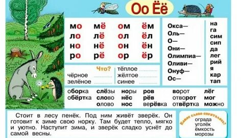 Слово 5 букв 4я буква е