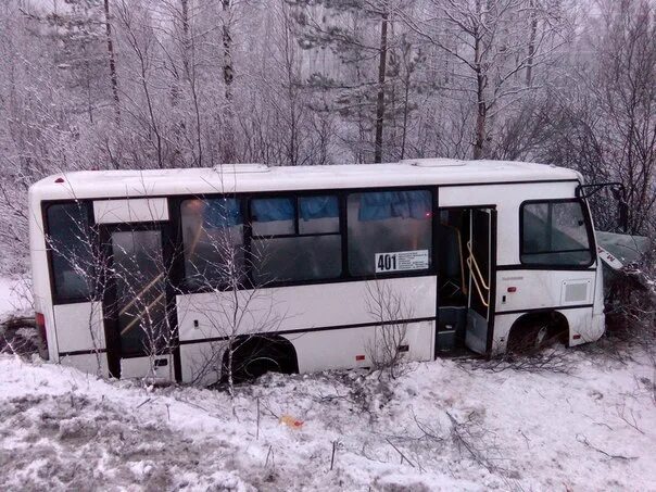 401 маршрутка сосновый бор. Автобус 401 сосновый бор. автобус 401 санкт петербург сосновый бор дтп. йошкар-ола сосновый бор автобус. автобус сосновый авторо.