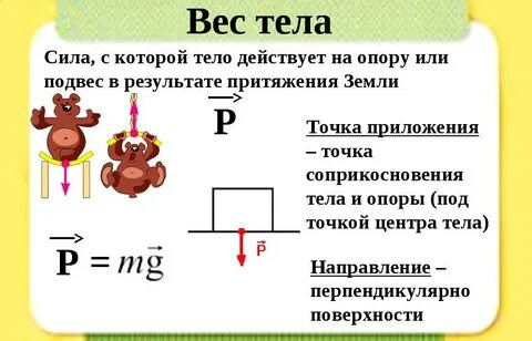Определите вес тела массой 5.8 кг