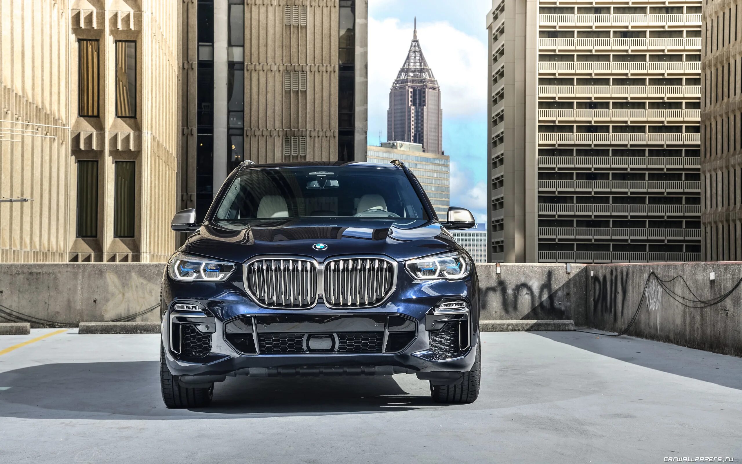 X 1 50 m. 5 на gx81. Сетка кладочная 50х50х3 вр 1. 5 оцинкованная. Сетка сварная оцинкованная 25х25х1,8 мм, 50 м * 1 м.