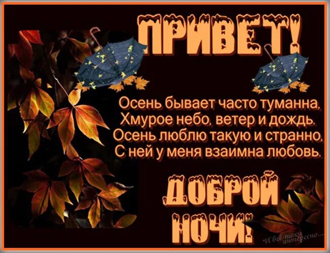 Доброй осенней ночи красивое. Осенние пожелания спокойной ночи. Спокойной о енней ночи. Доброй осенней ночи. Доброй осенней ночи пожелания.