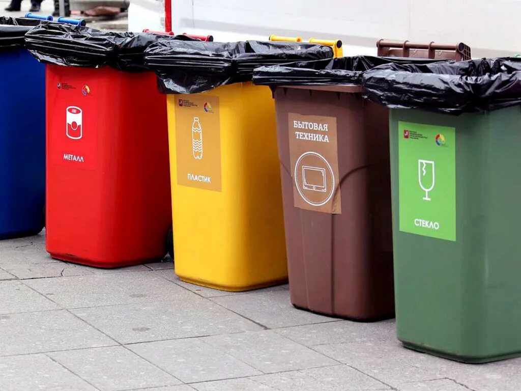 эколайн контейнеры для раздельного сбора мусора. контейнеры для сортировки мусора. цвета отходов. контейнеры для сортировки мусора. цвета отходов.