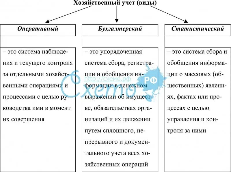 Сравнительная характеристика видов хозяйственного учета. Хозяйственный учет таблица. Виды хозяйственного учета таблица. Характеристика видов хозяйственного учета. Особенности хозяйственного учета