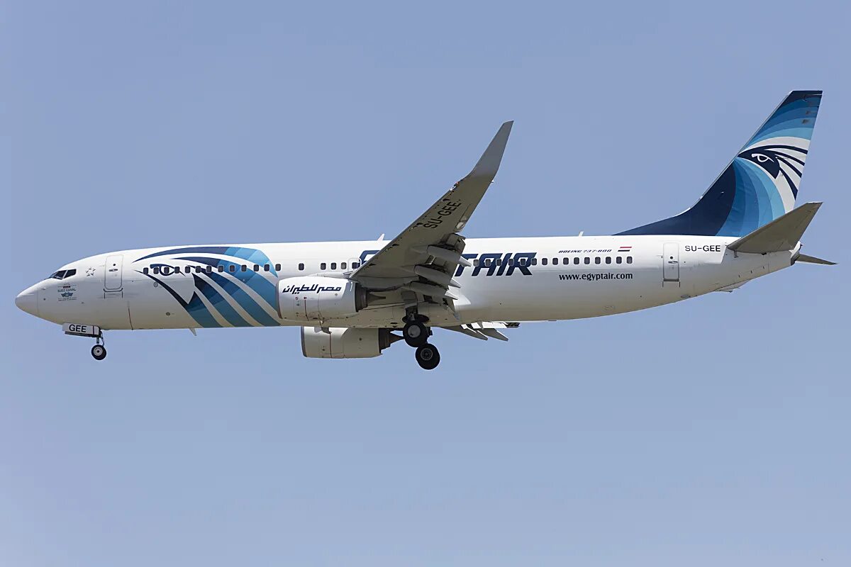 Egyptair купить билет. Боинг 737 Egypt Air. Boeing 737-800 Egypt Air,. MS 730 • Boeing 737-800 EGYPTAIR. MS 3091 Egypt Air.