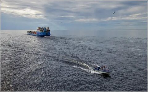 Белое море добыча