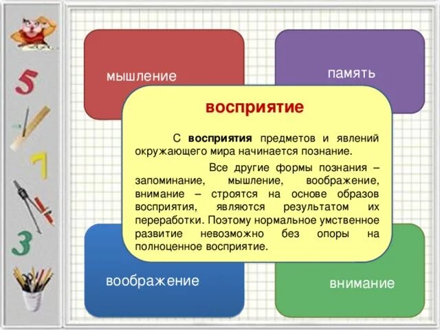 Ощущения память мышление воображение восприятие. Восприятие память мышление. Память, внимание, мышление. Внимание память мышление воображение. Речь мышление память.