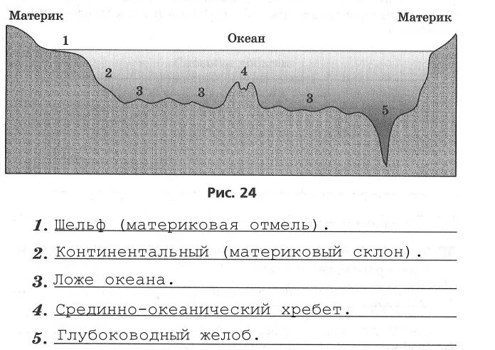 Рельеф дна океанов 5 класс география. Схема рельефа океанического дна. Схема рельефа дна мирового океана 6 класс. Строение рельефа дна мирового океана. Рельеф дна мирового океана схема.