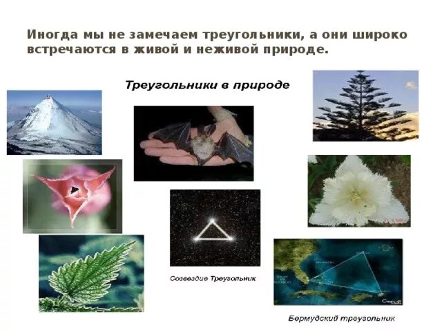 Проект в мире треугольников Проект про треугольник 92 фото