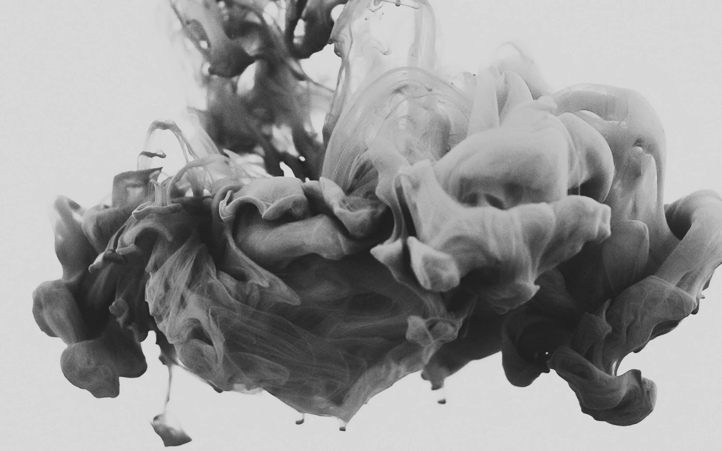 не ругайте себя за прошлое совсем. цветной дым для фотосессии. серый дым. серый дым на прозрачном фоне. алена валенсия фото.