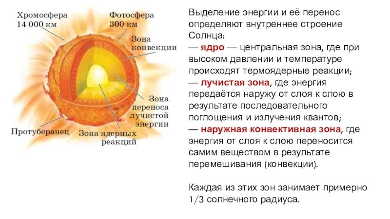 Солнце размер температура. Строение солнца таблица ядро лучистая зона. строение солнца ядро лучистая зона конвективная зона. внутренне строение солнца ядро. солнце состав и внутреннее строение.
