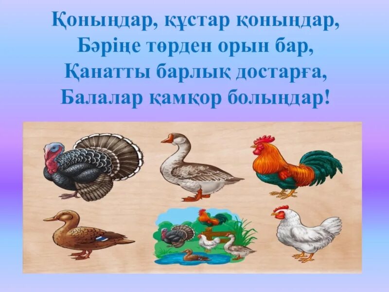 Құстар мен жәндіктер. Уй кустары. Құстар біздің досымыз слайд презентация. Қыстайтын Құстар сурет тех карта.