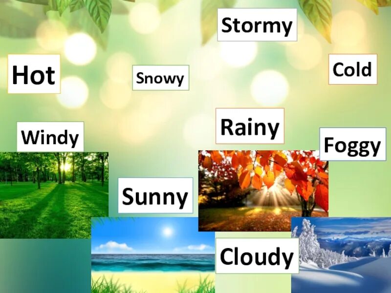 Презентация my favourite season. Питер о тул 1982. Mother day mug. My favorite year 1982. Проект my favourite season.