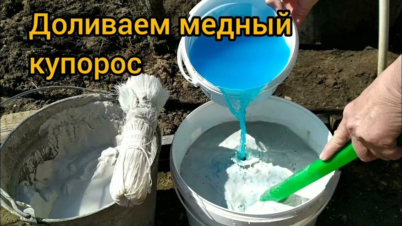 Побелка деревьев известью с медным купоросом. Известь для побелки деревьев. Известь с медным купоросом для побелки деревьев. Известь польская для побелки деревьев. Негашеная известь обработка дерева.