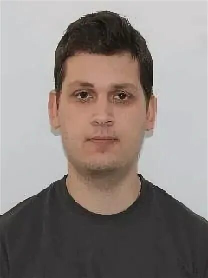 Оригано или орегано что это приправа. Орешано. Орегано веточка. Орешано. Орешано.