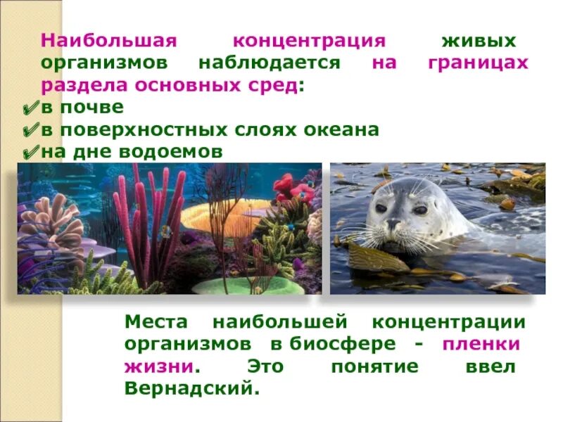 Укажите территорию где будет наблюдаться наибольшее значение. Укажите территорию где будет наблюдаться наибольшее значение
