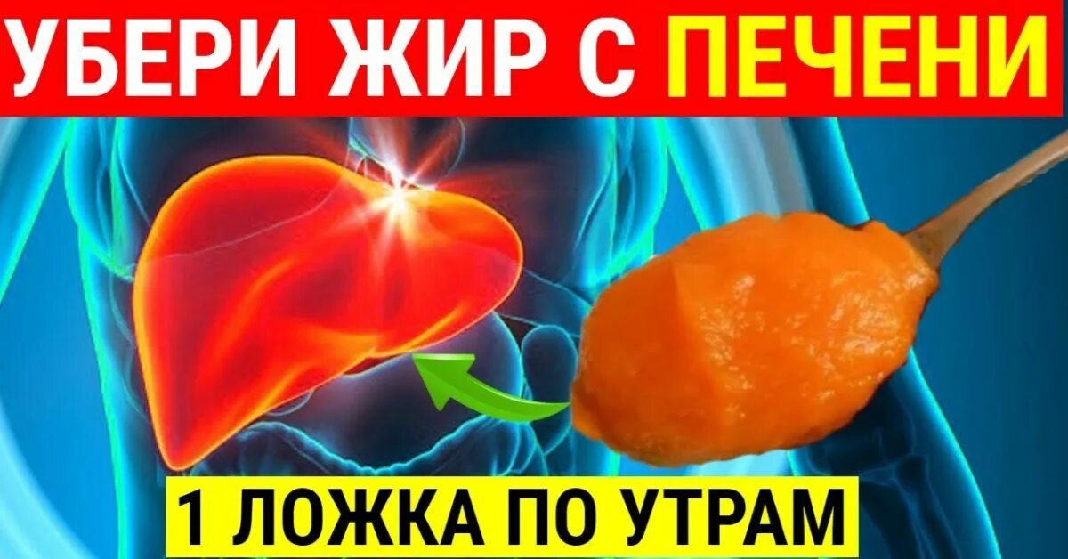 Как очистить печень. Очищение печени от жира. Как очистить печень от токсинов. Печень от жира и токсинов. Очищение печени от жира.