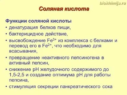 Какую роль соляная кислота в процессе пищеварения