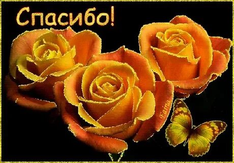 Спасибо 3