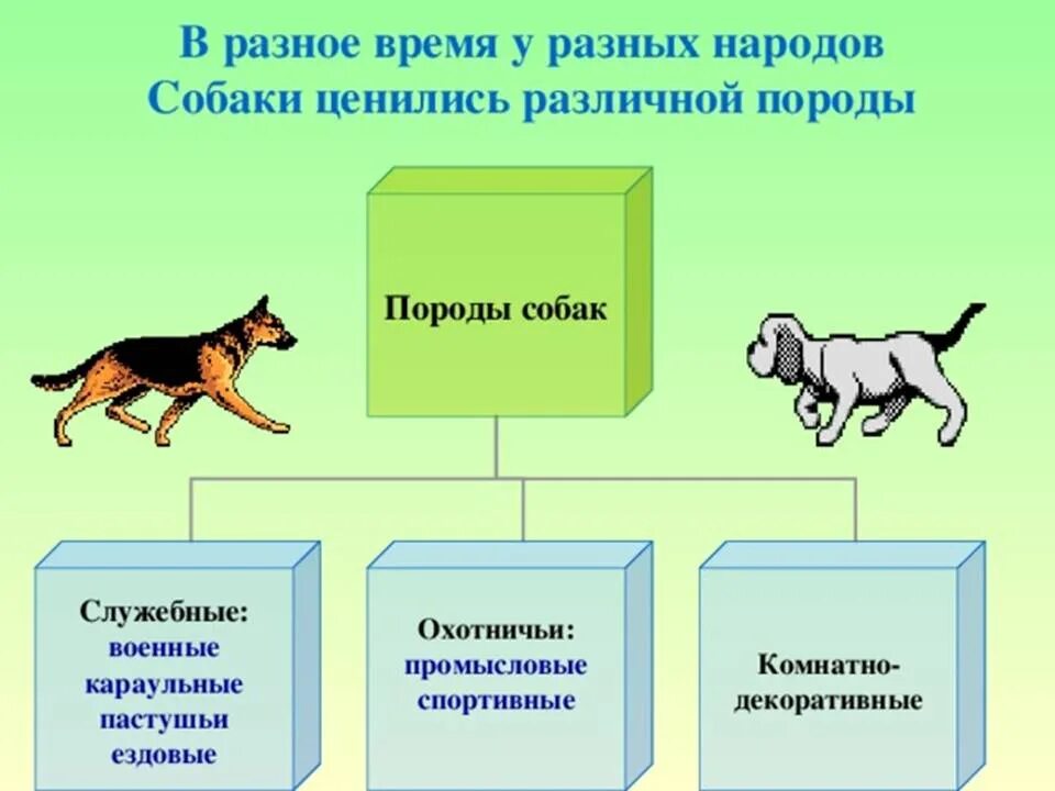 Примеры про собак. Собака для презентации. презентация на тему собаки. проект на тему породы собак. породы собак презентация.