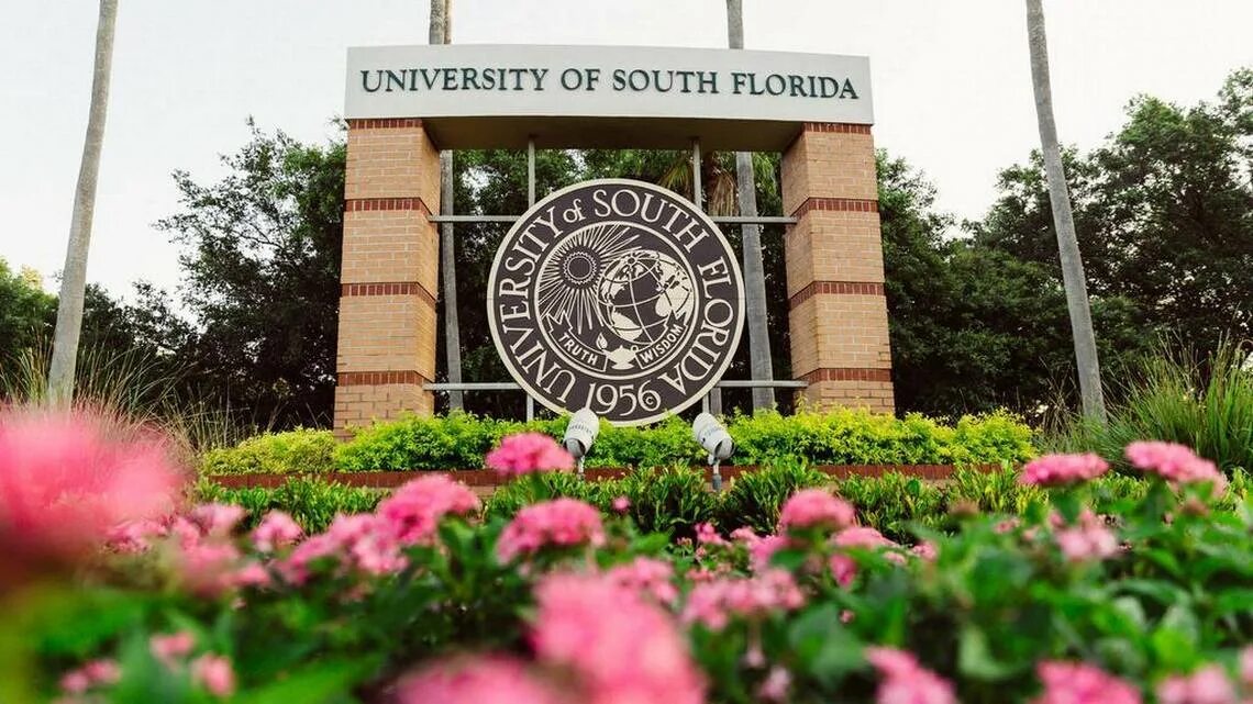 University of South Florida, университет University of South Florida. University of South Florida Флорида Тампа. South Florida University ranking. University of South Florida scholarship. University of florida