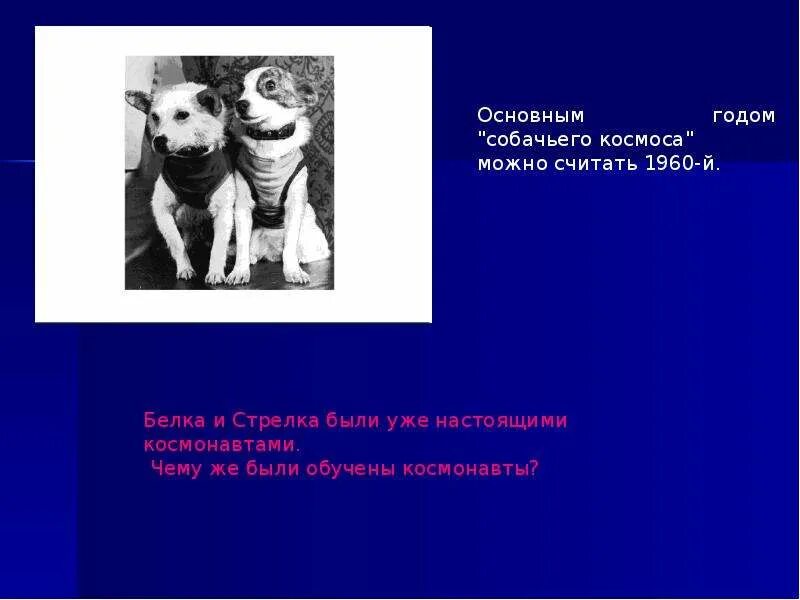 Презентация ко дню космонавтики 4 класс. День космонавтики презентация 4 класс. Презентация на тему день космонавтики 4 класс. Белка и стрелка приют для собак. Белка стрелка и Терешкова.