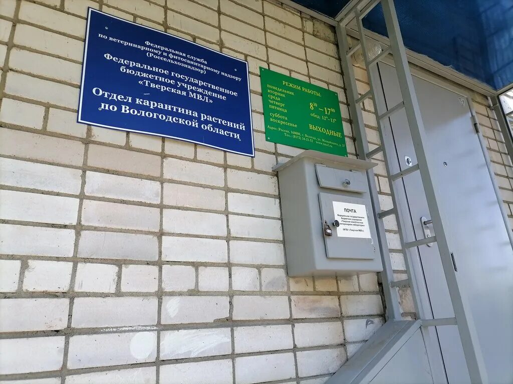 партия растение. карантин растений россельхознадзор. отдел карантина растений. структура вниикр по карантину растений. досмотр подкарантинной продукции.