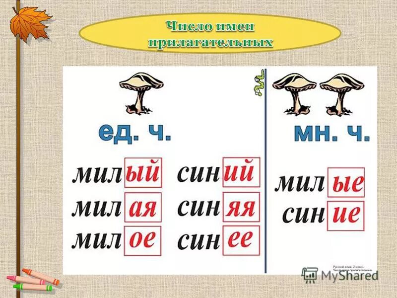 Грибы единственное число. Слова в единственном и множественном числе. Грибы единственное число. Существительные единственного и множественного числа задания. Число.
