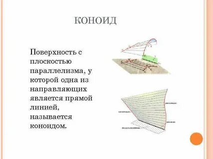 Коноид это