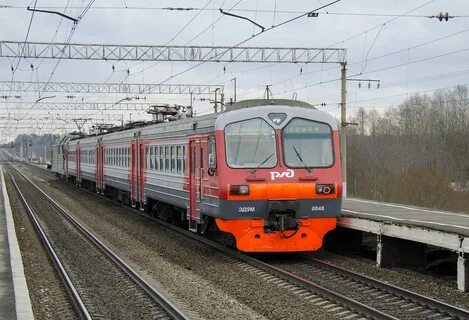 Расписание спб чаща завтра