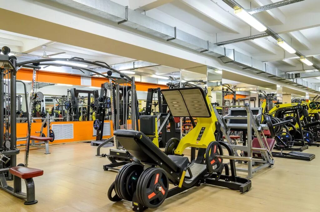 Alex Fitness, fitness club, Penza, Moskovskaya Street, 83 - Yandex Maps