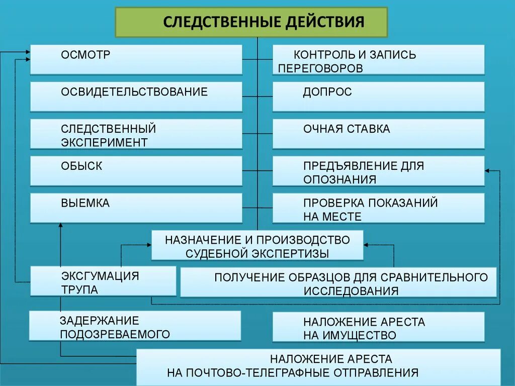 Следственное действие состоящее. Виды следственных действий. Следственные действия виды следственных действий. Вилы следтсвенныхдейсвтий. Следственные действия вилы.