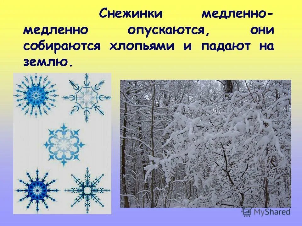 Какая сила вызывает падение снежинок которые образуются. Формирование снежинки. Какая сила вызывает падение снежинок которые образуются. Подтаявшая снежинка. Какая сила вызывает падение снежинок которые образуются.
